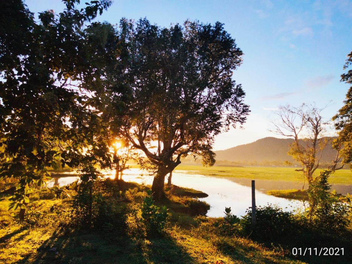 Lake Front Yala Safari カタラガマ エクステリア 写真