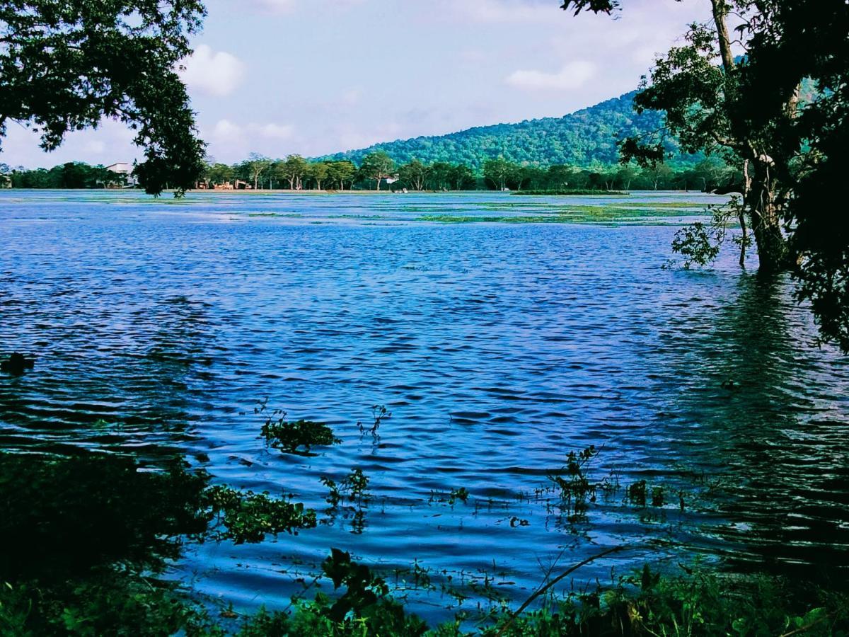 Lake Front Yala Safari カタラガマ エクステリア 写真