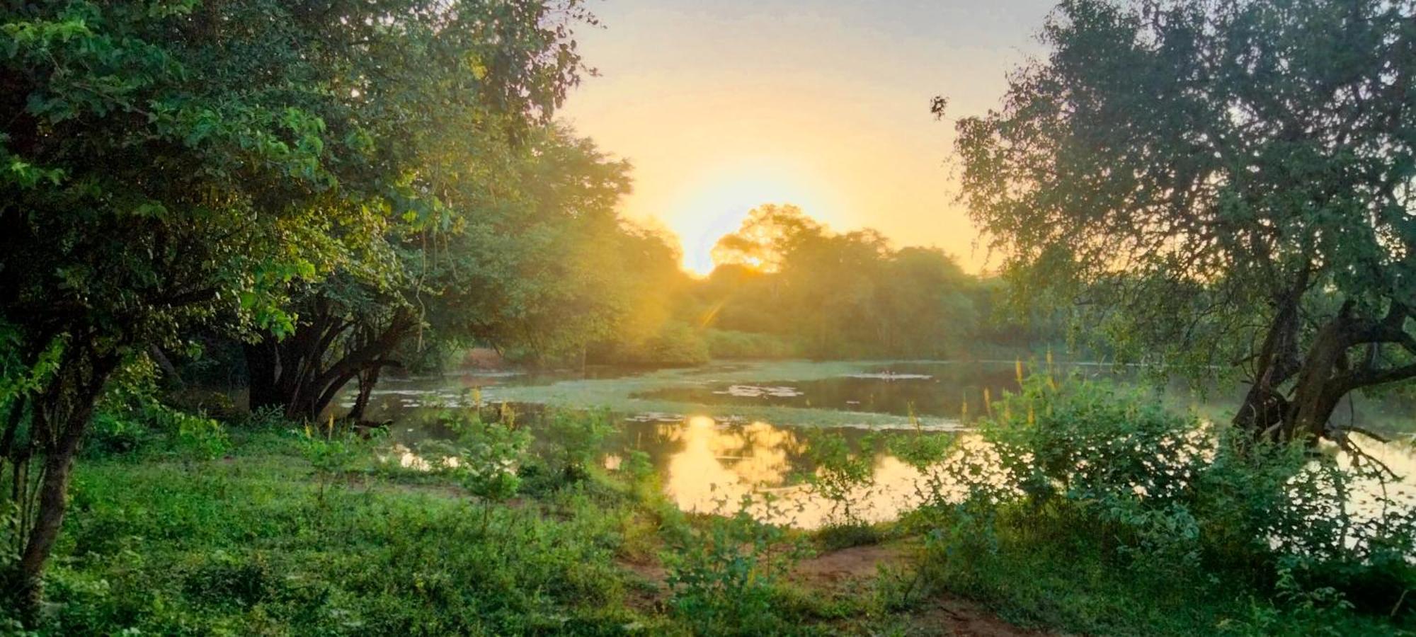 Lake Front Yala Safari カタラガマ エクステリア 写真