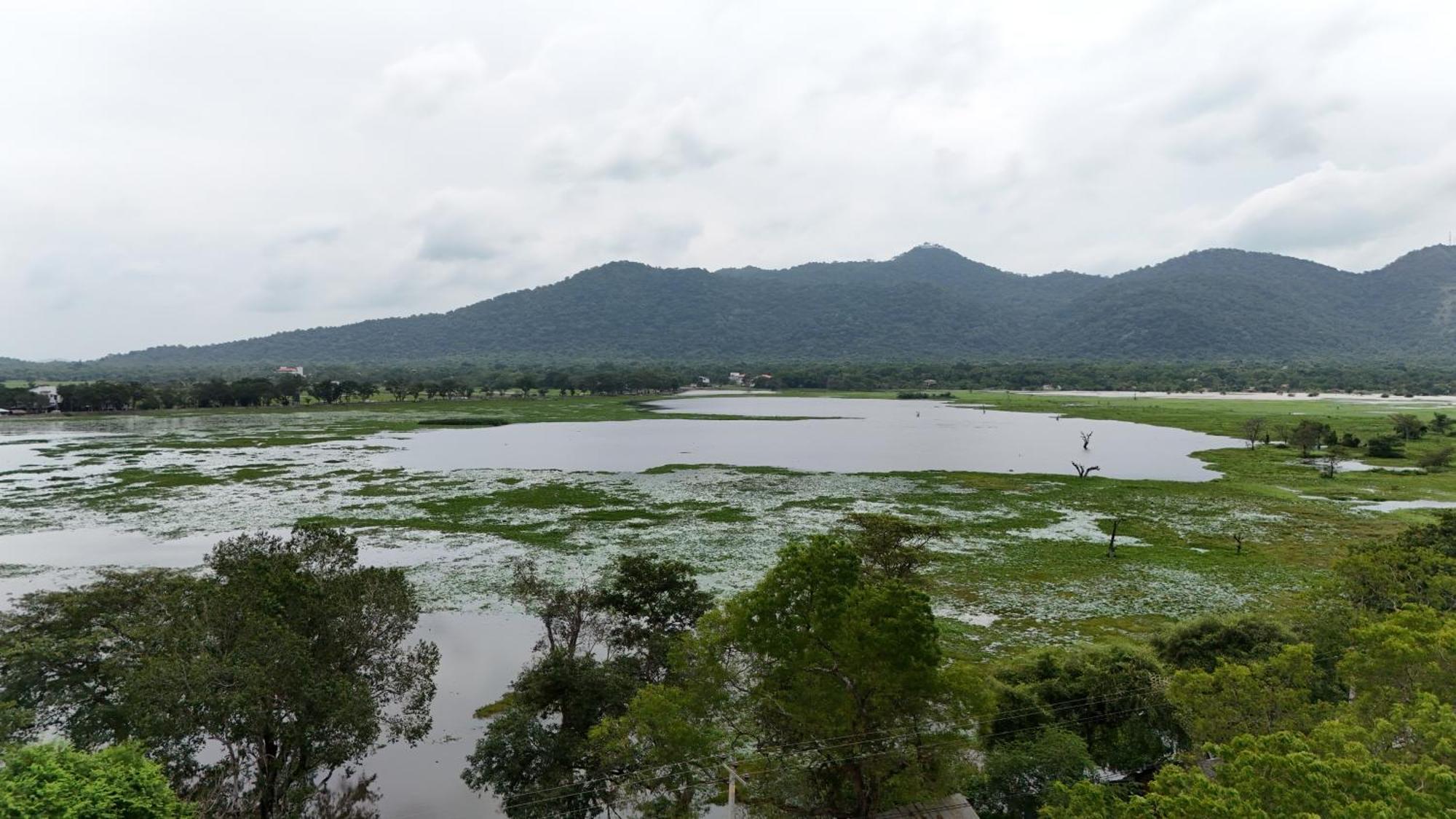 Lake Front Yala Safari カタラガマ エクステリア 写真