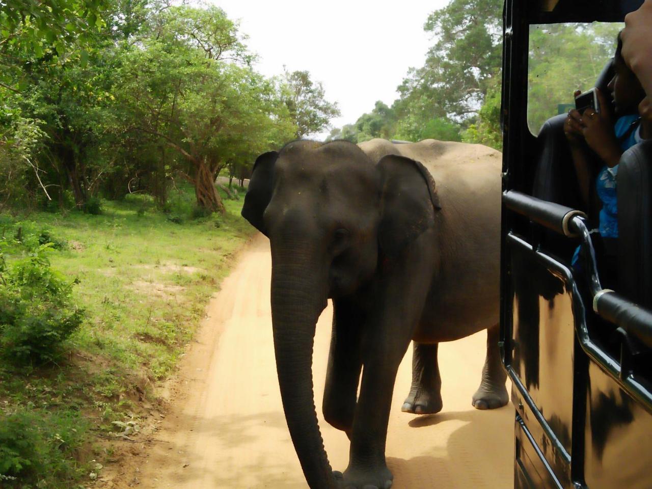 Lake Front Yala Safari カタラガマ エクステリア 写真